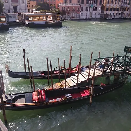 Daniele Venezia